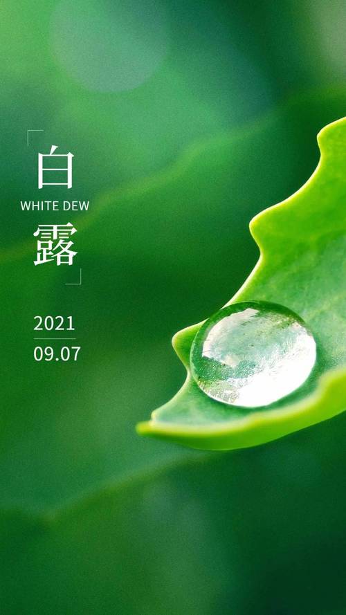 白露逢初一有什么讲头?