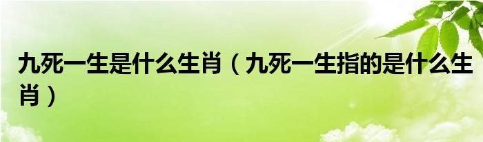 九死一生打一生肖是什么
