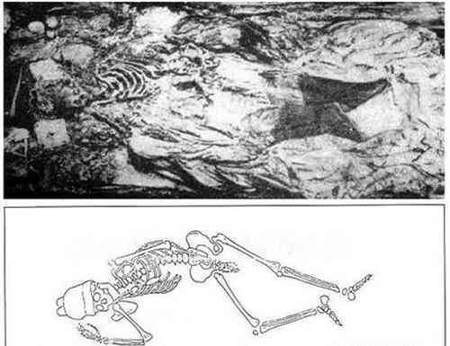 梦见老虎咬死人到底寓意着有什么事情发生呢?