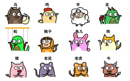 生肖属鸡和生肖属狗生猪宝宝