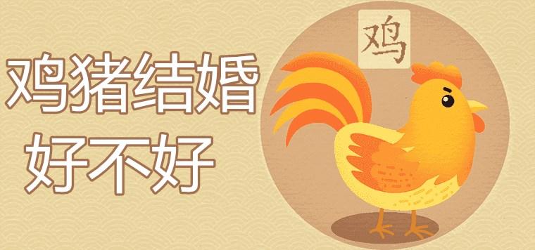 属鸡和属猪婚姻有什么转折点吗?主动示爱感情发展快