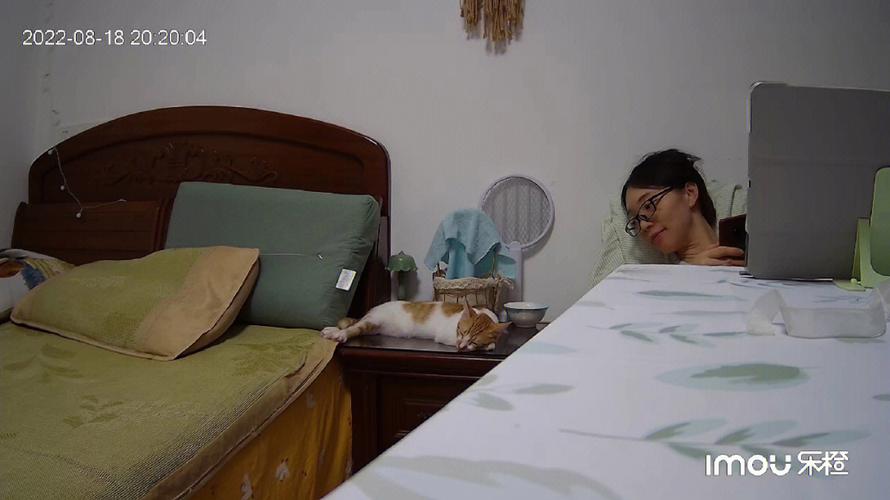 梦见红猫变女人