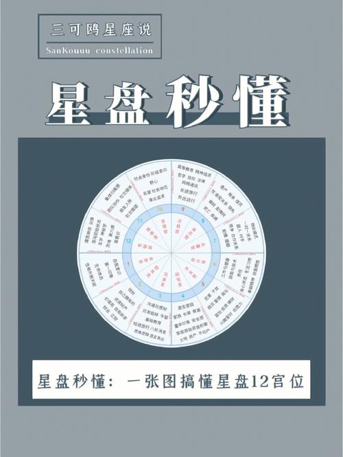 星盘十一宫代表什么意思