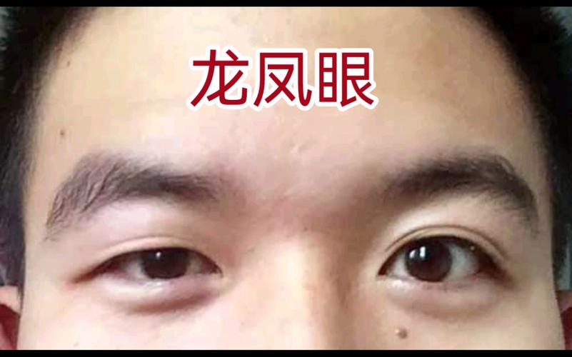 帝王龙凤眼左双右单是怎么样的