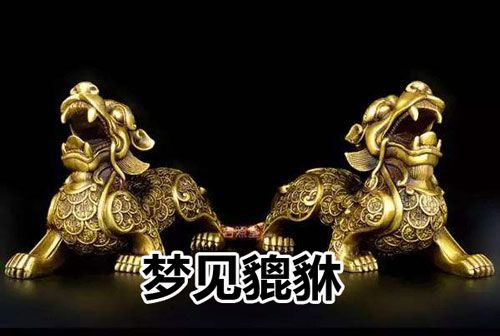 梦见貔恘