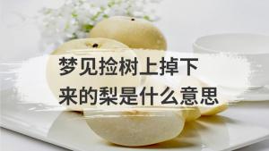 怀孕梦见地上捡梨是什么意思