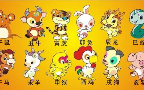 属鸡和什么属相合财