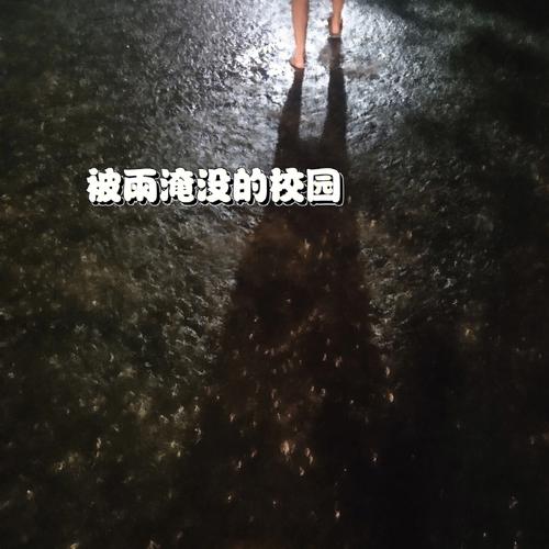 梦见我和朋友俩个人被大雨淋