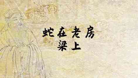 梦见蛇在房梁上