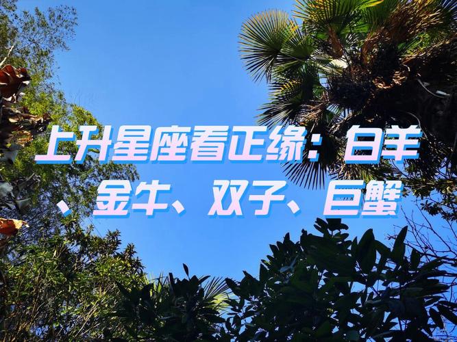本命巨蟹上升双子男