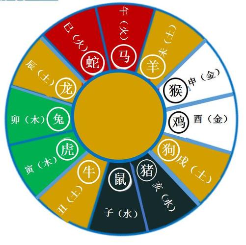 地支及十二地支的特性