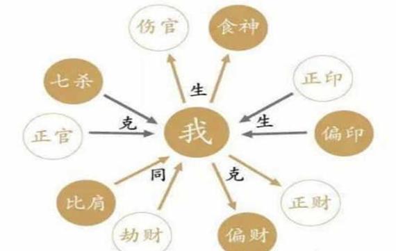十神命论寿短的知识详解