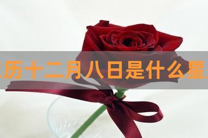 农历十二月二十八