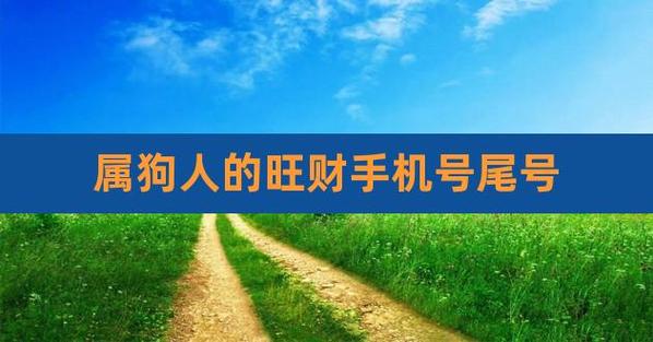 属狗人的旺财手机号尾号