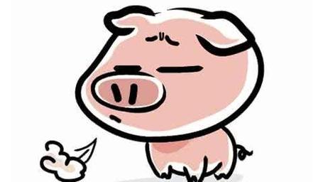 属猪男不讲卫生是怎么表现的