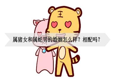 男属猪女属蛇婚配相合吗