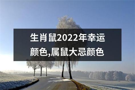 2022年属鼠幸运色和忌讳色