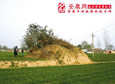 梦见祖坟裂开