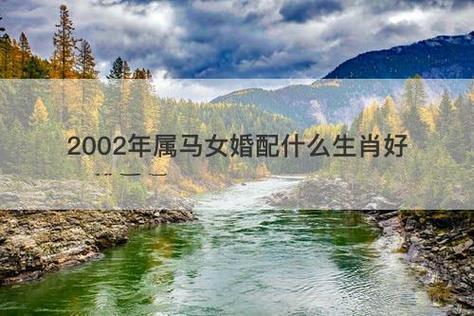 2002年属马的最佳婚配属相