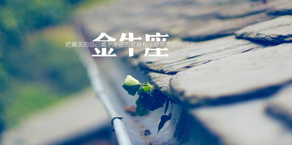 谁最让金牛座失望