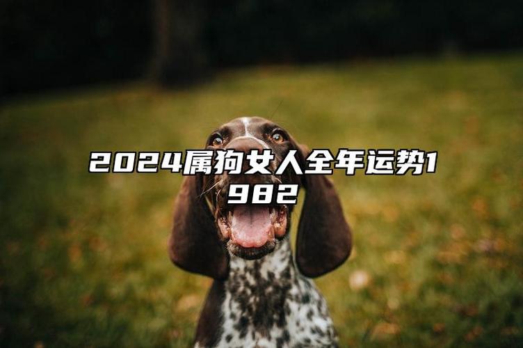 属狗的女人事业运好不好