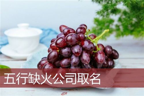 袜业公司五行属性是金起名推荐
