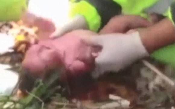 梦见孕妇出车祸会发生什么事情?