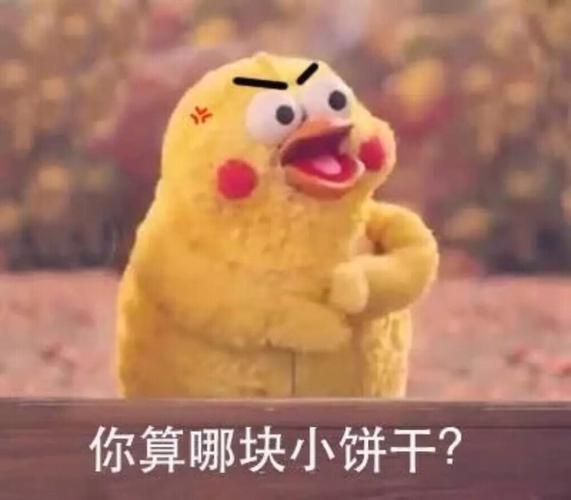 你是哪个小饼干