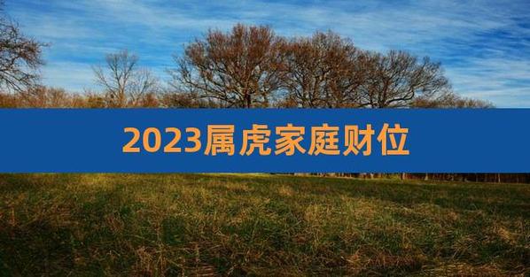 属虎人2023年上半年财位与发财方向