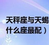 天秤男为什么爱天蝎女