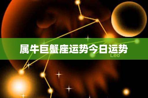 属牛巨蟹座2019年运势