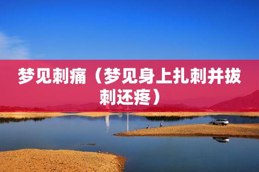 梦见刺痛