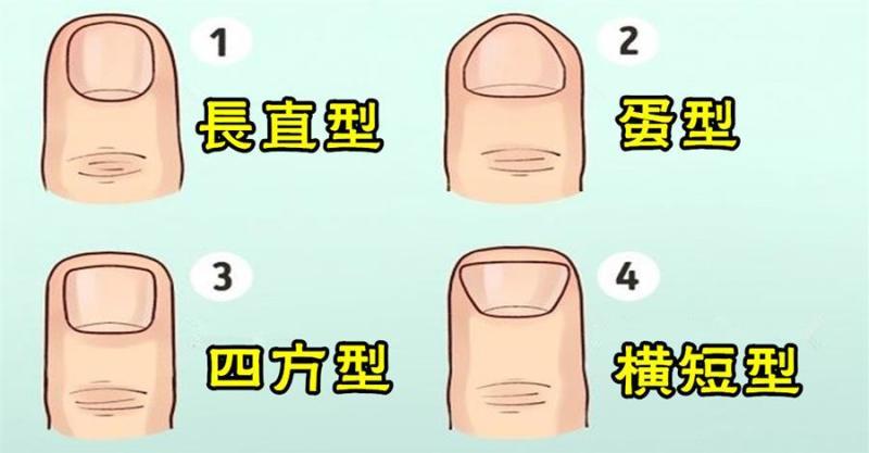 指甲形状的面相解析