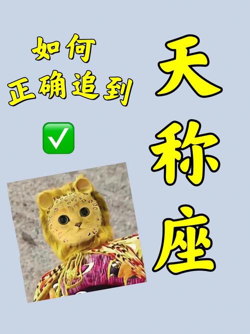 追天秤座男生的技巧