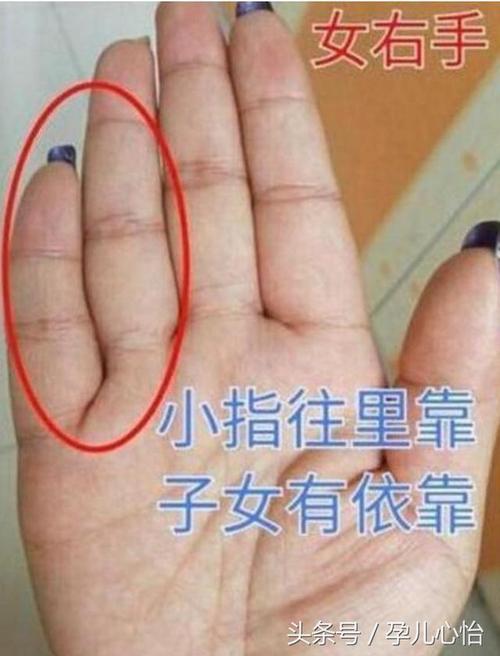 从手指看相 从手指看相女生看哪只手