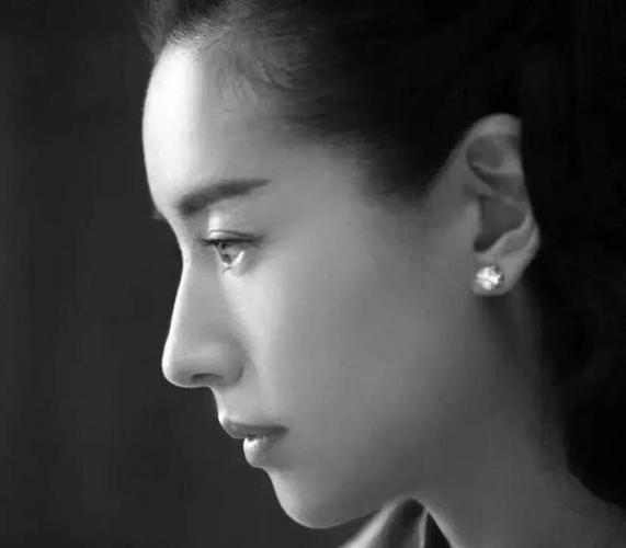 女人鼻相论鼻子最美的十大女星