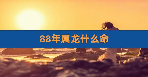 88年的龙是什么命