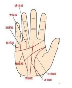生命线分叉20种图解