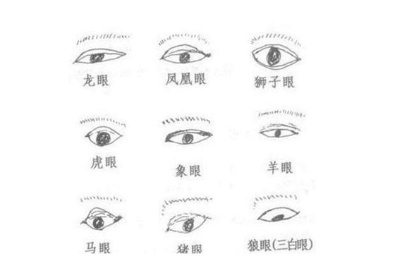 女人眼睛看相了解命理运势走向