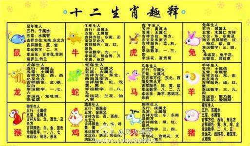 属猪属相婚配表知多少