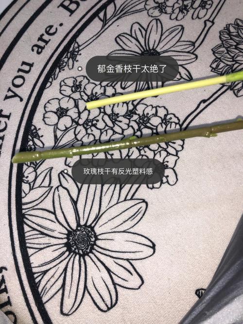 家里用了假花如何化解