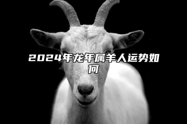 属羊人更适合职场生活还是自主创业?