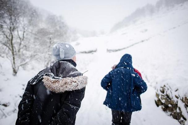梦见下雪在雪地上走