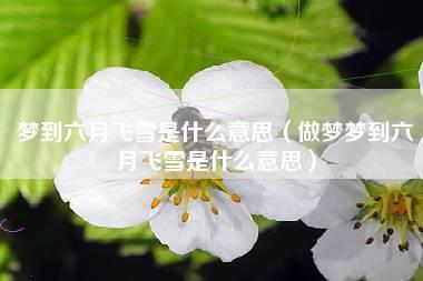 梦见六月下雪