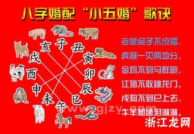 属猴犯冲的四个属相
