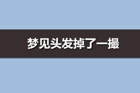 梦见头发掉了一撮,梦见掉了一大把头发