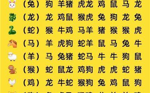 谁最旺生肖兔,马狗猴猪