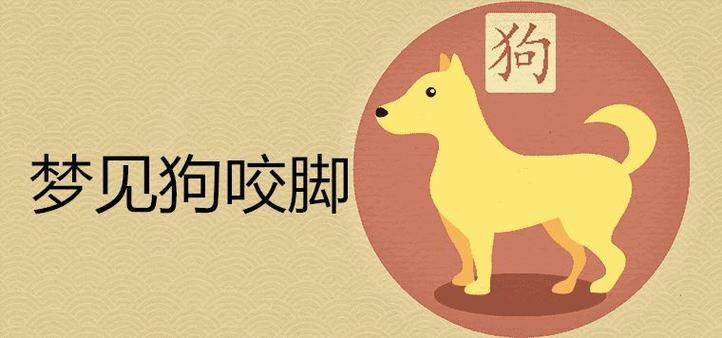 梦见被狗咬了脚是什么意思