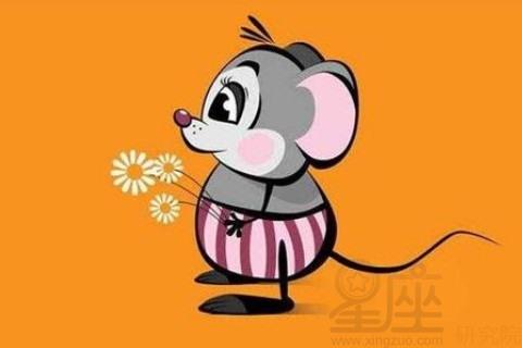 2008年的生肖鼠人是什么命
