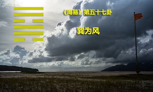 什么是巽为风